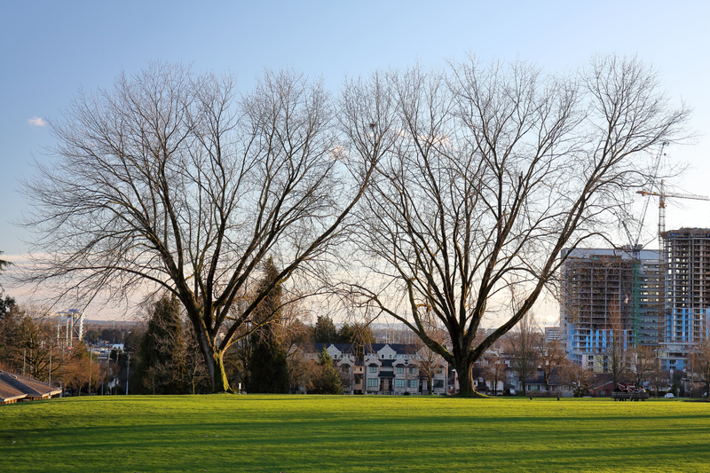 Illustration for article titled Pics from the Curbside: 2018-02-04 to Marpole at Dusk and Night